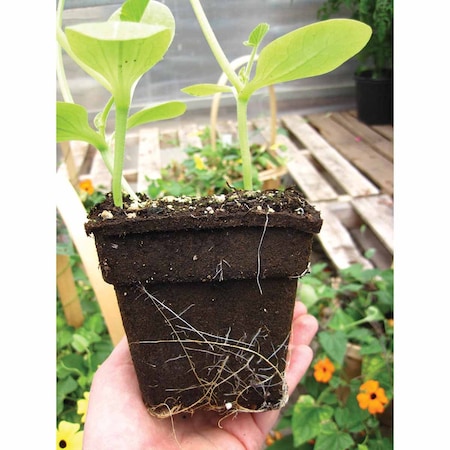 Cowpots No 4 Square CowPots 450mL/cell, PK450 #4 Sq (450)